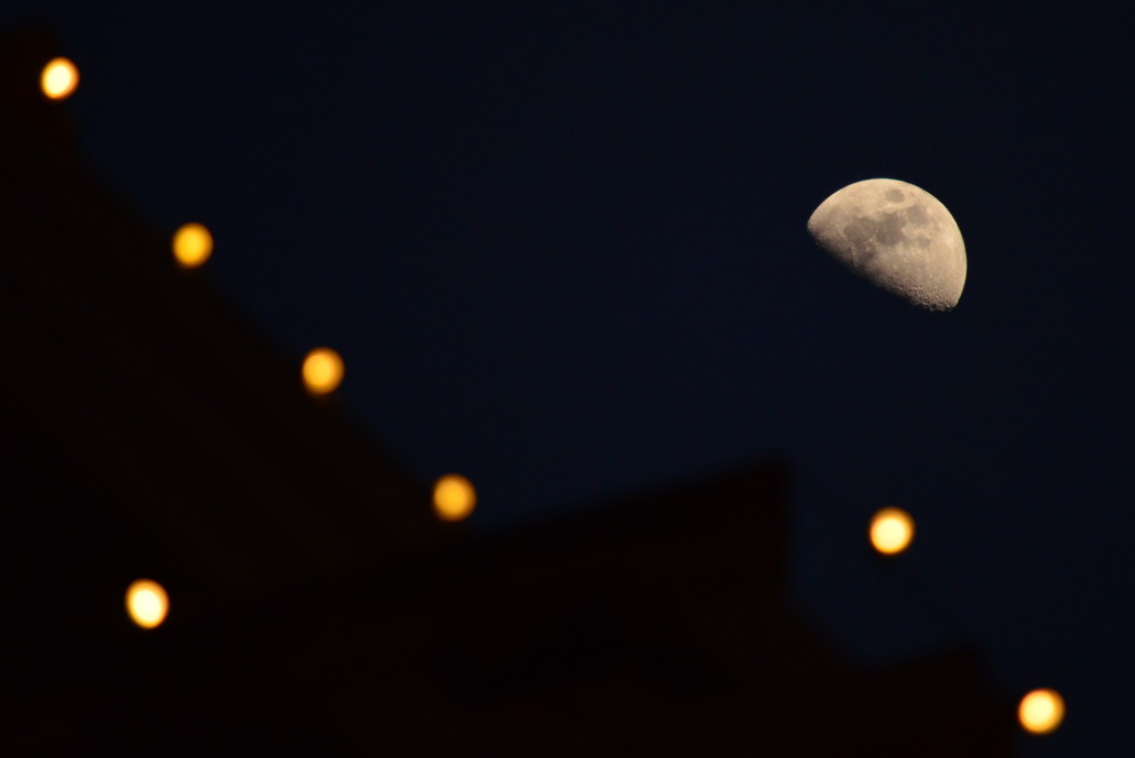 Half Moon Dances with City Lights by kareenking