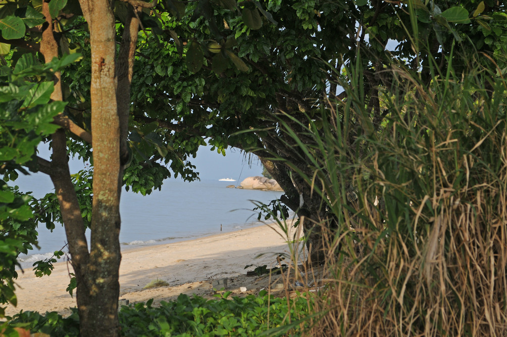 Teluk Bahang beach by ianjb21