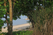 30th Dec 2014 - Teluk Bahang beach
