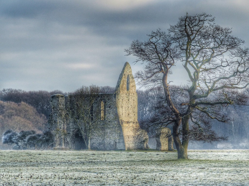 Newark Priory in the Frost by mattjcuk
