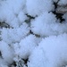 Snow by oldjosh
