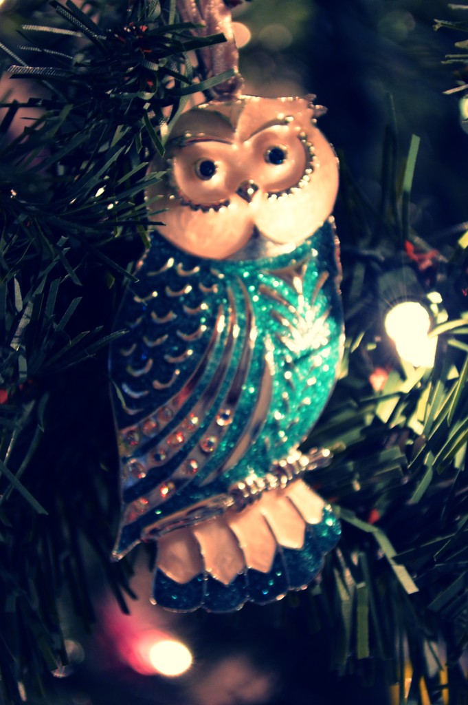 An Owly Christmas  by mej2011