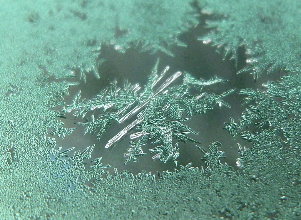 Frost on the Windshield by calm