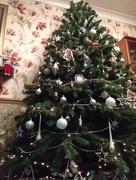 20th Dec 2014 - The Bilby Family Tree