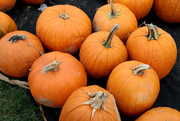 5th Oct 2014 - Pumpkins!