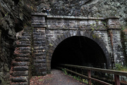 14th Oct 2014 - Paw Paw Tunnel!