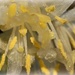 honeysuckle detail by callymazoo