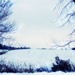snowy field by edie