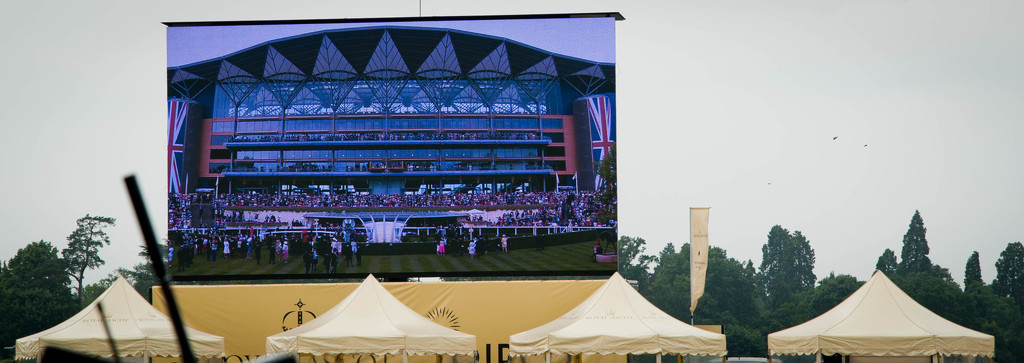 Royal Ascot Big Screen by tracybeautychick