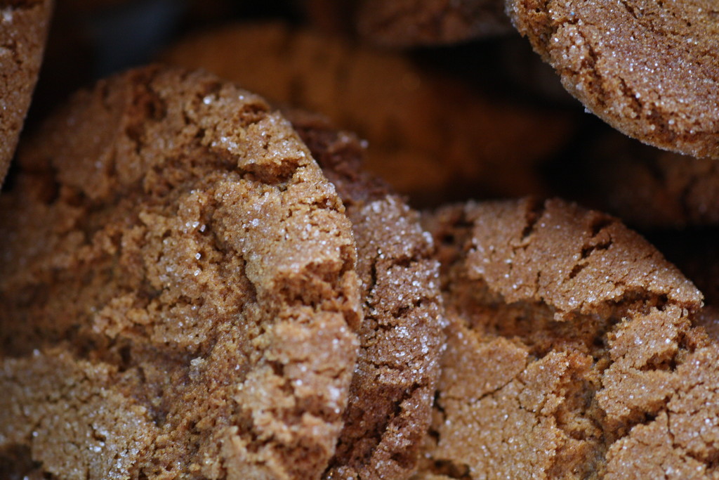 Gingersnaps by sarahlh