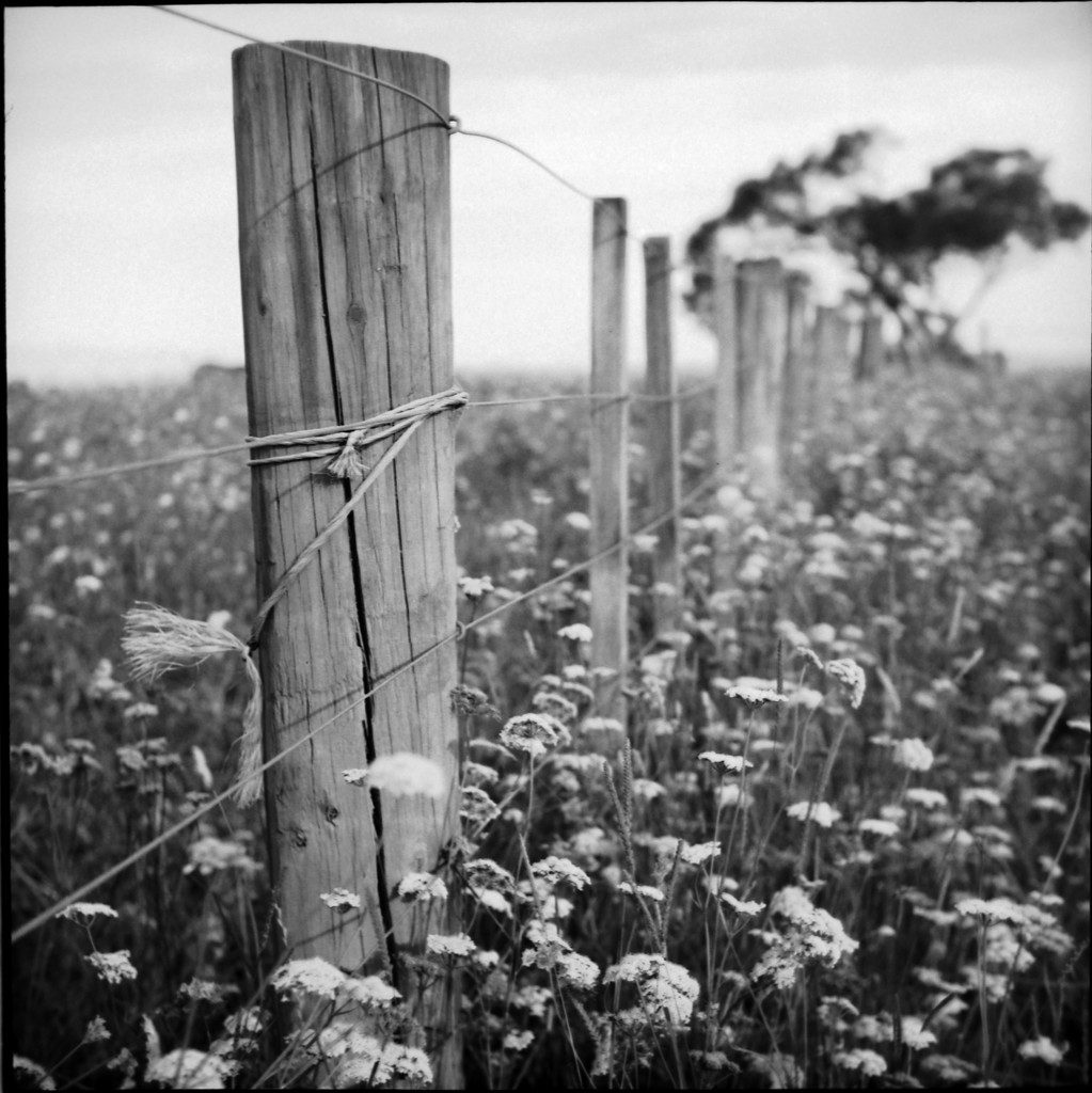Fence by spanner