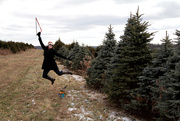 28th Nov 2014 - Christmas Trees!!!!