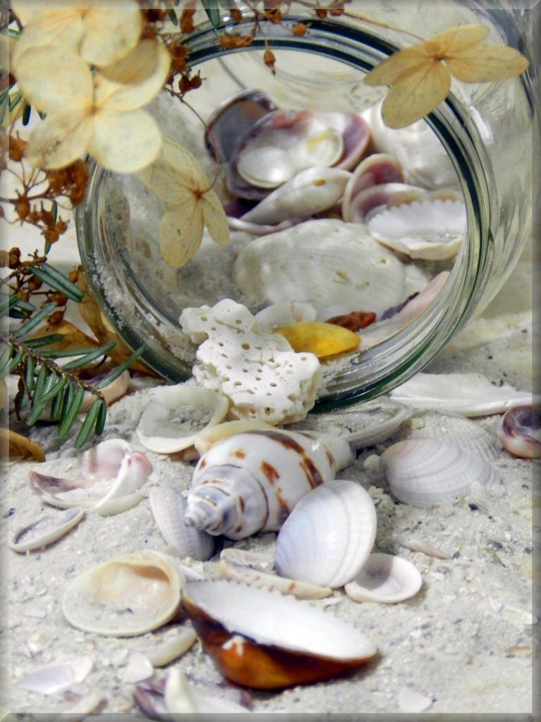 Seashore From A Jar by paintdipper