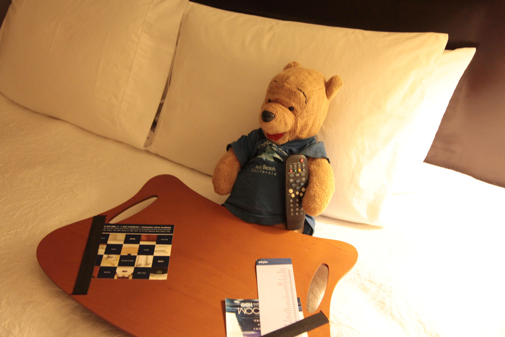 Bear in Bed by steelcityfox