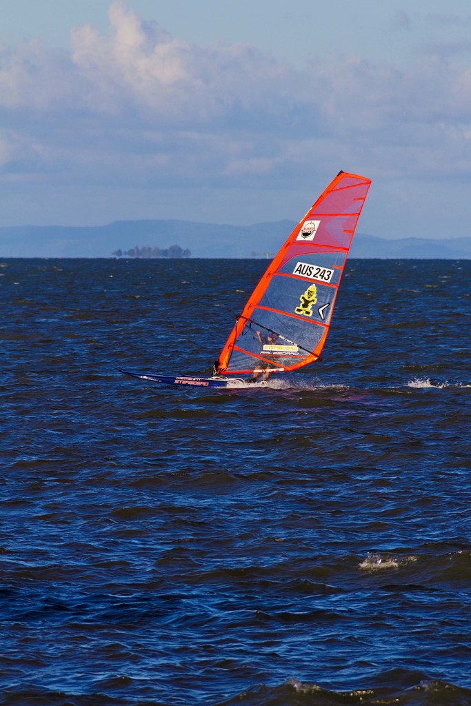 windsurfer by corymbia