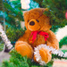  Teddy in Christmas tree by elisasaeter