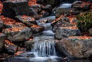 6th Nov 2014 - Whitman Falls