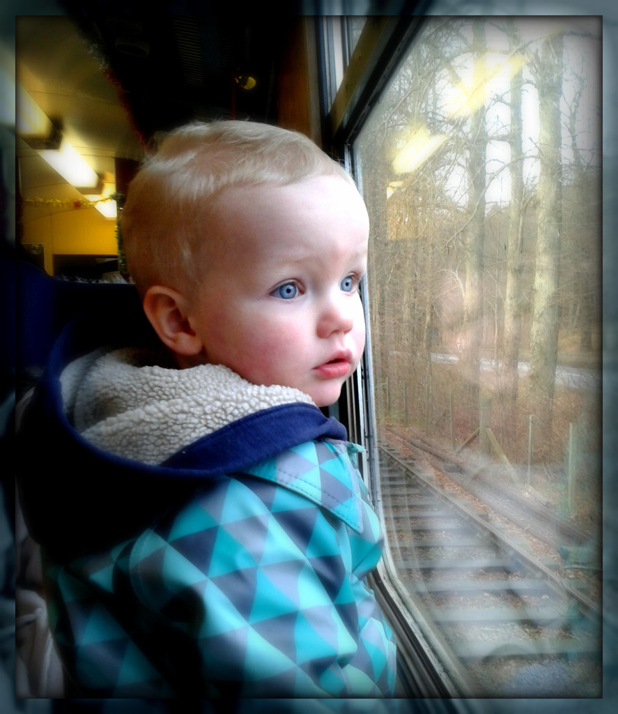 on the steam train  by sarah19