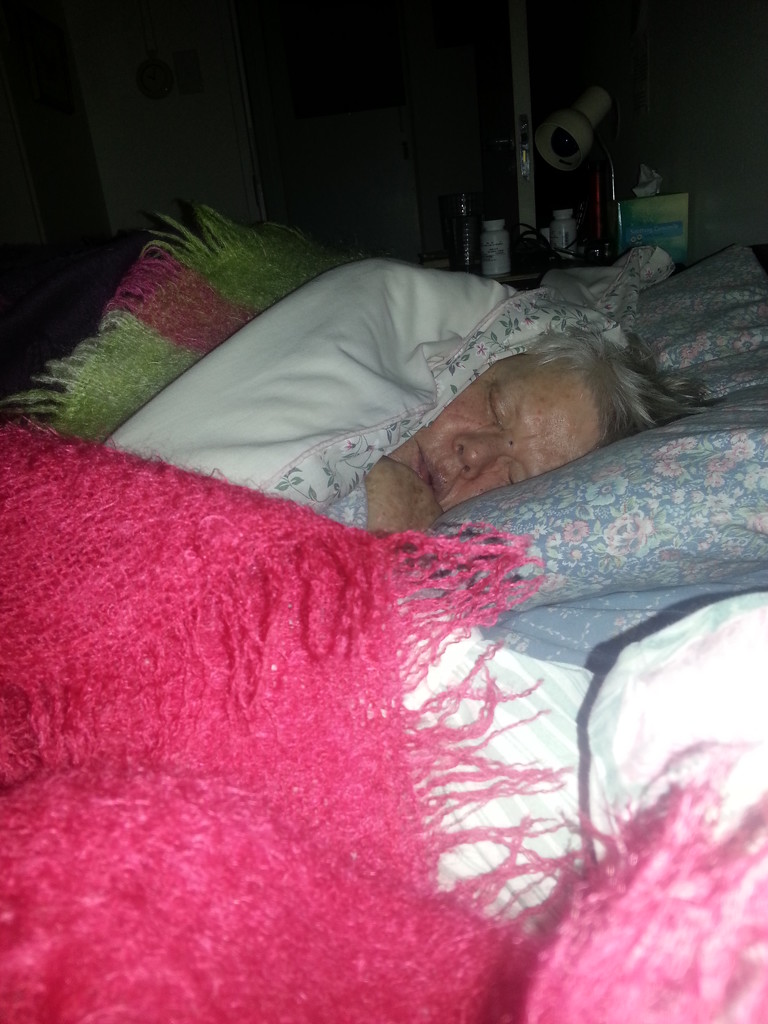 Mom, asleep at last by eleanor