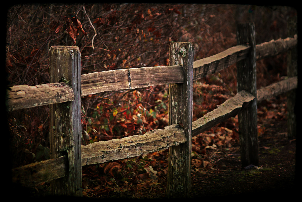 Follow the Fence line by nanderson