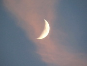 28th Dec 2014 - Pink Cloud Moon