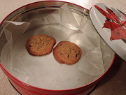 1st Jan 2015 - Who ate all of the cookies?