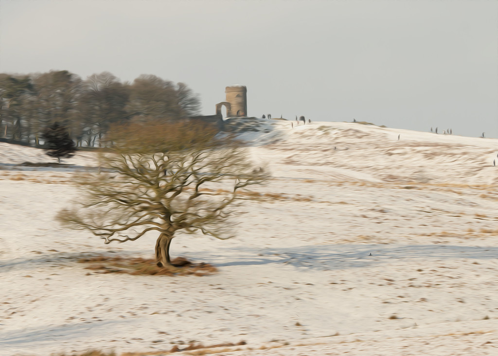 Bradgate in the Snow by shepherdmanswife