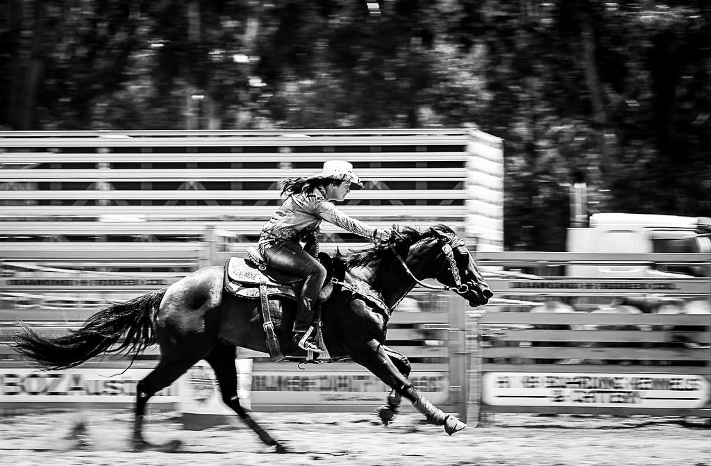 Picton Rodeo by abhijit