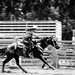 Picton Rodeo by abhijit