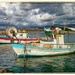 Fishing Boats In Agios Georgios Harbour Cyprus  by carolmw