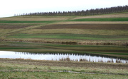 3rd Jan 2015 - Patchwork field and reflections