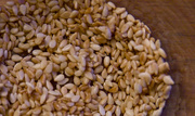 4th Dec 2014 - Toasted Sesame Seeds