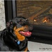Libby loves the fireplace by kathyo
