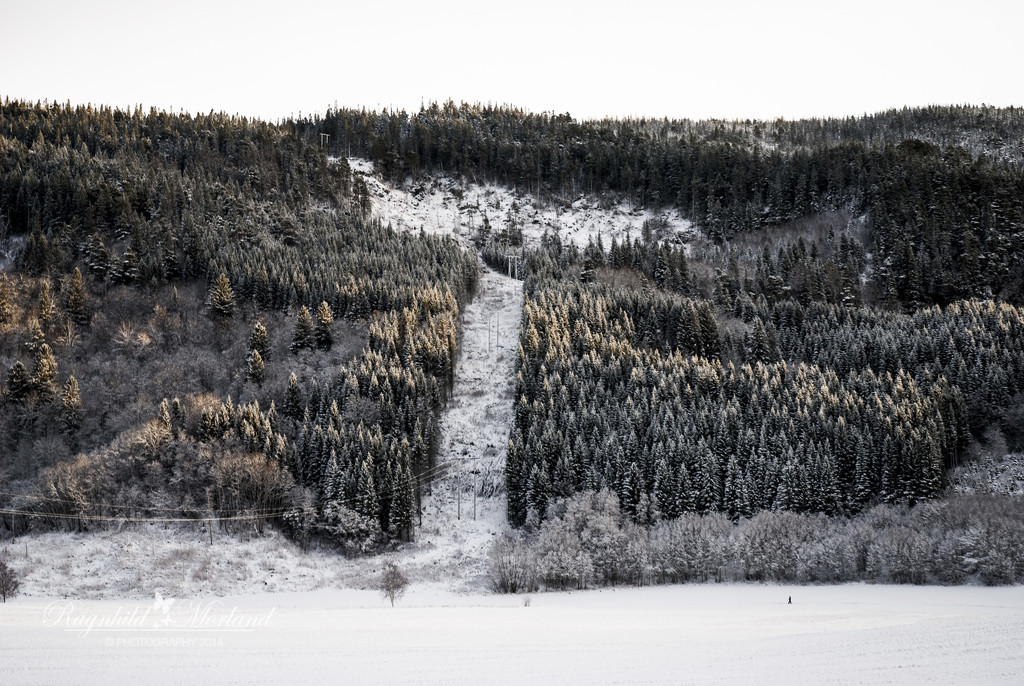 Sunday Walk by ragnhildmorland