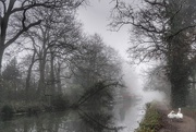 4th Jan 2015 - Misty Canal