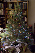 24th Dec 2014 - Tree 2014