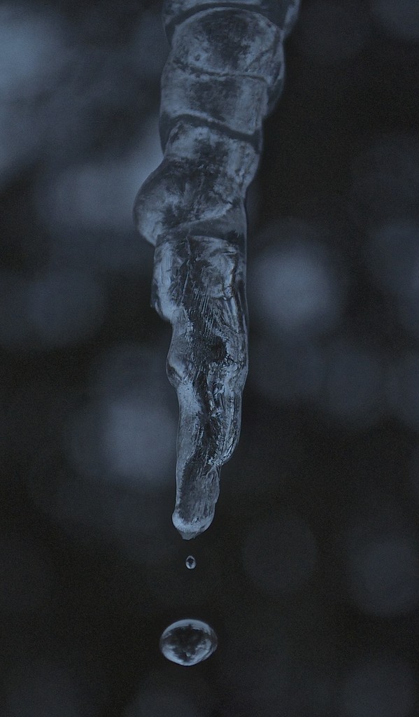 Icicle by dianen