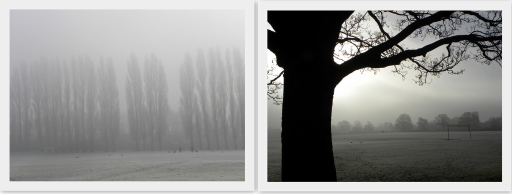 Foggy and Frosty Park by oldjosh