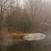 Warm foggy day by mccarth1