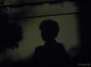 27th Oct 2010 - Apparition on the Garden Wall