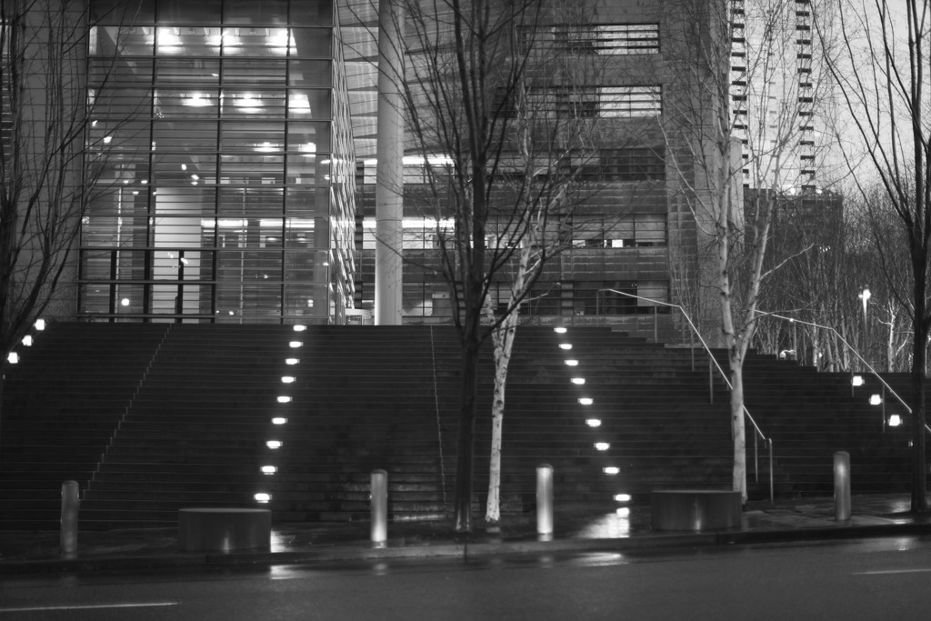 The Lines Of The Federal Court House...My Neighbor by seattle