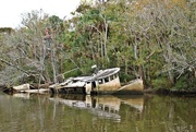 5th Jan 2015 - Shipwreck in the Swamp