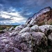 Pink Granite Bluff... by vignouse