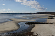 5th Jan 2015 - Afternoon low tide