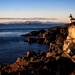 Lime Kiln Point State Park by tina_mac