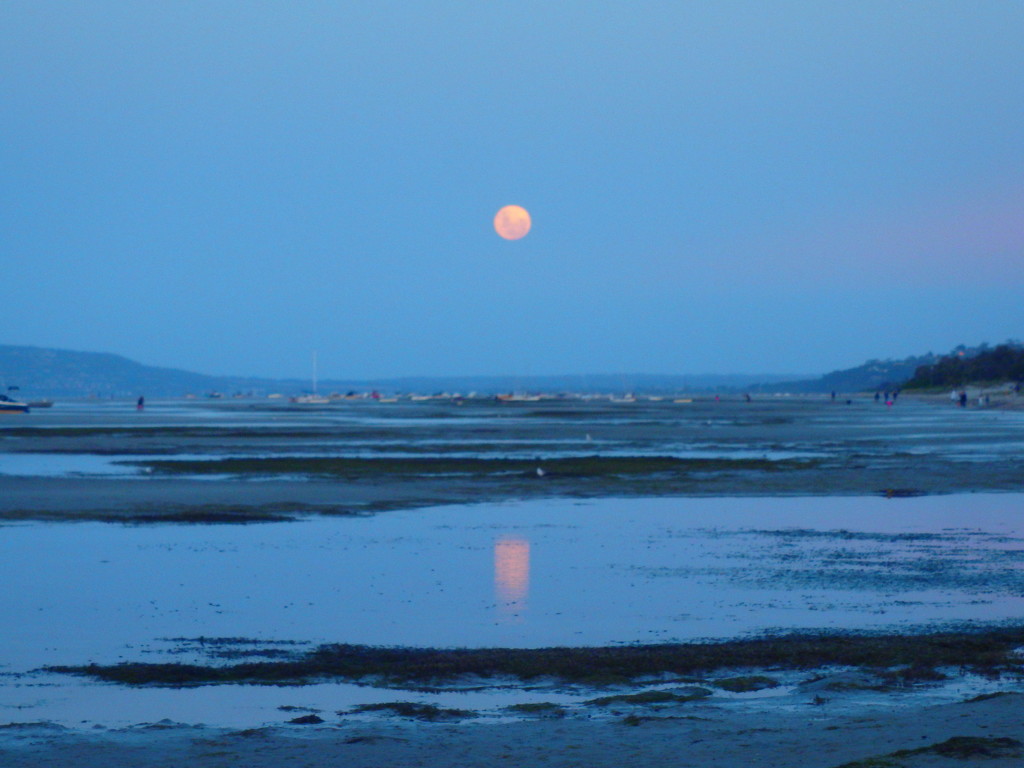 Moon Rise at Port Phillip Bay by leestevo