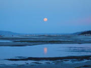5th Jan 2015 - Moon Rise at Port Phillip Bay