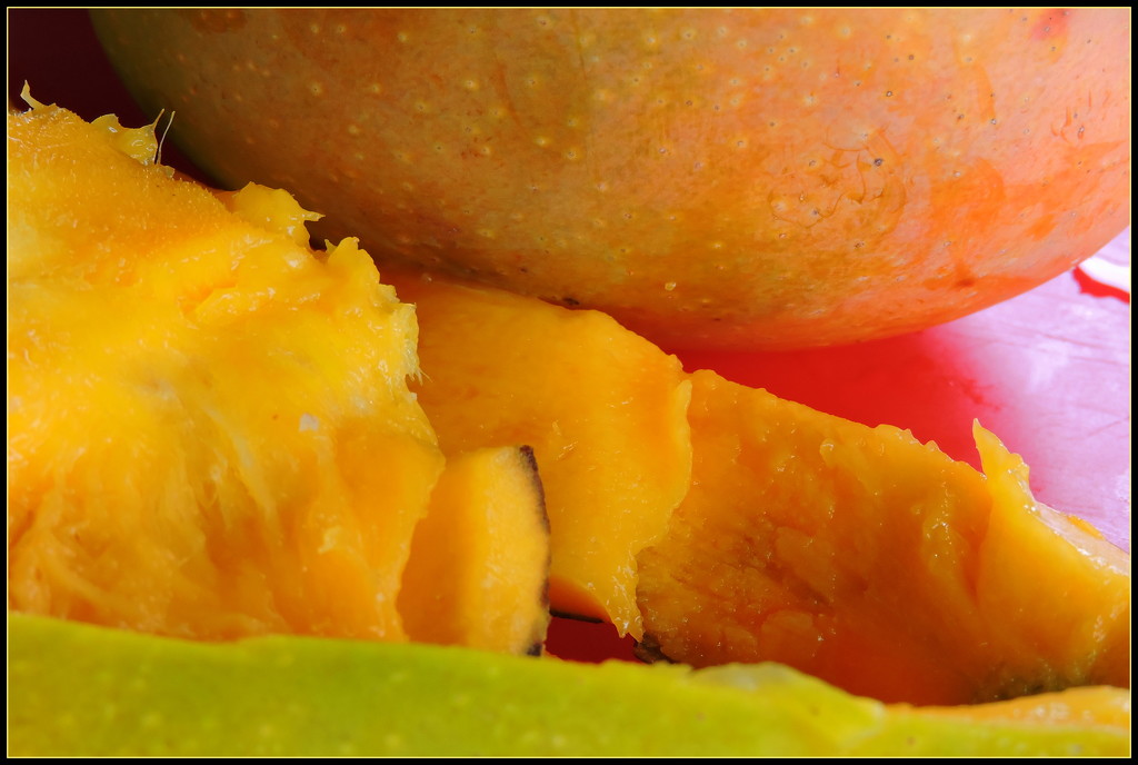 Mango Season by ubobohobo