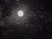 5th Jan 2015 - Blazing Moon