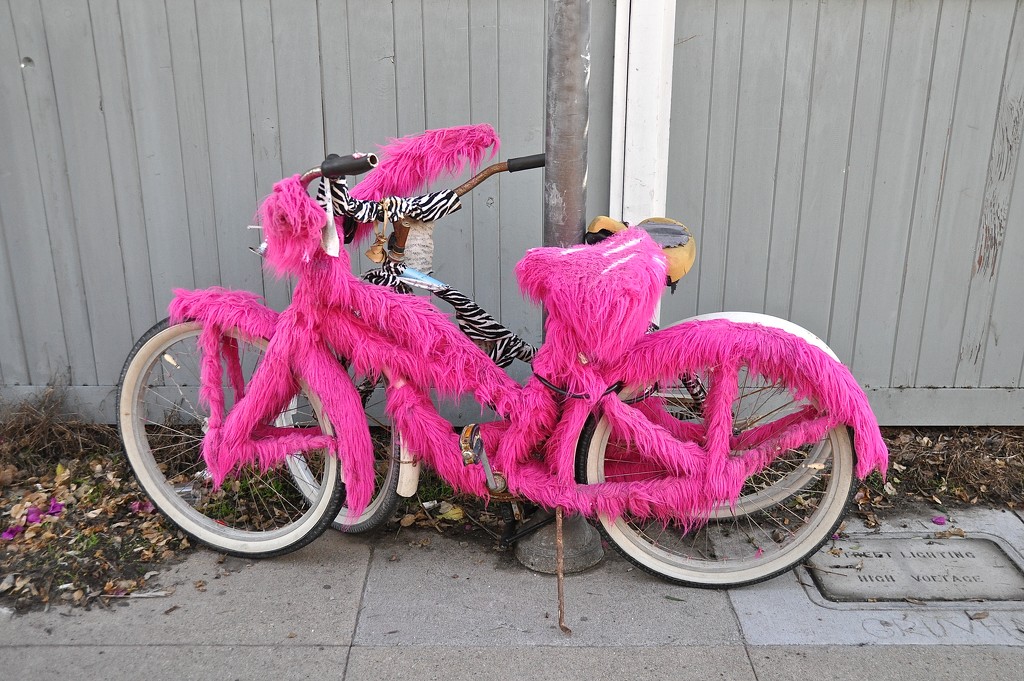 The funky pinky bike by cocobella